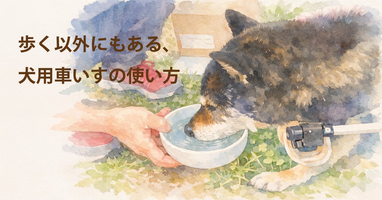 車椅子に乗ったままの食事