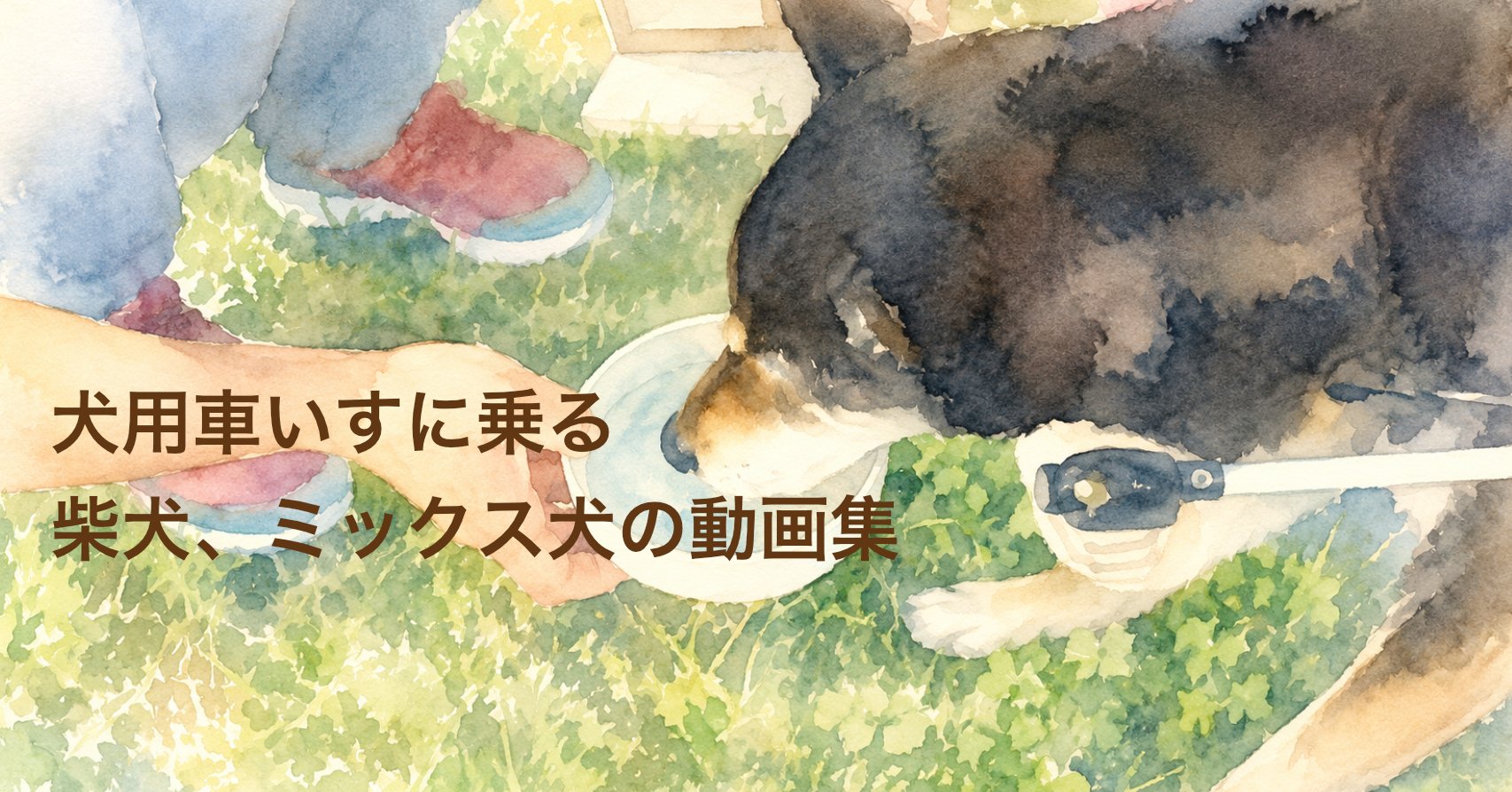 犬用車椅子に乗る柴犬の事例