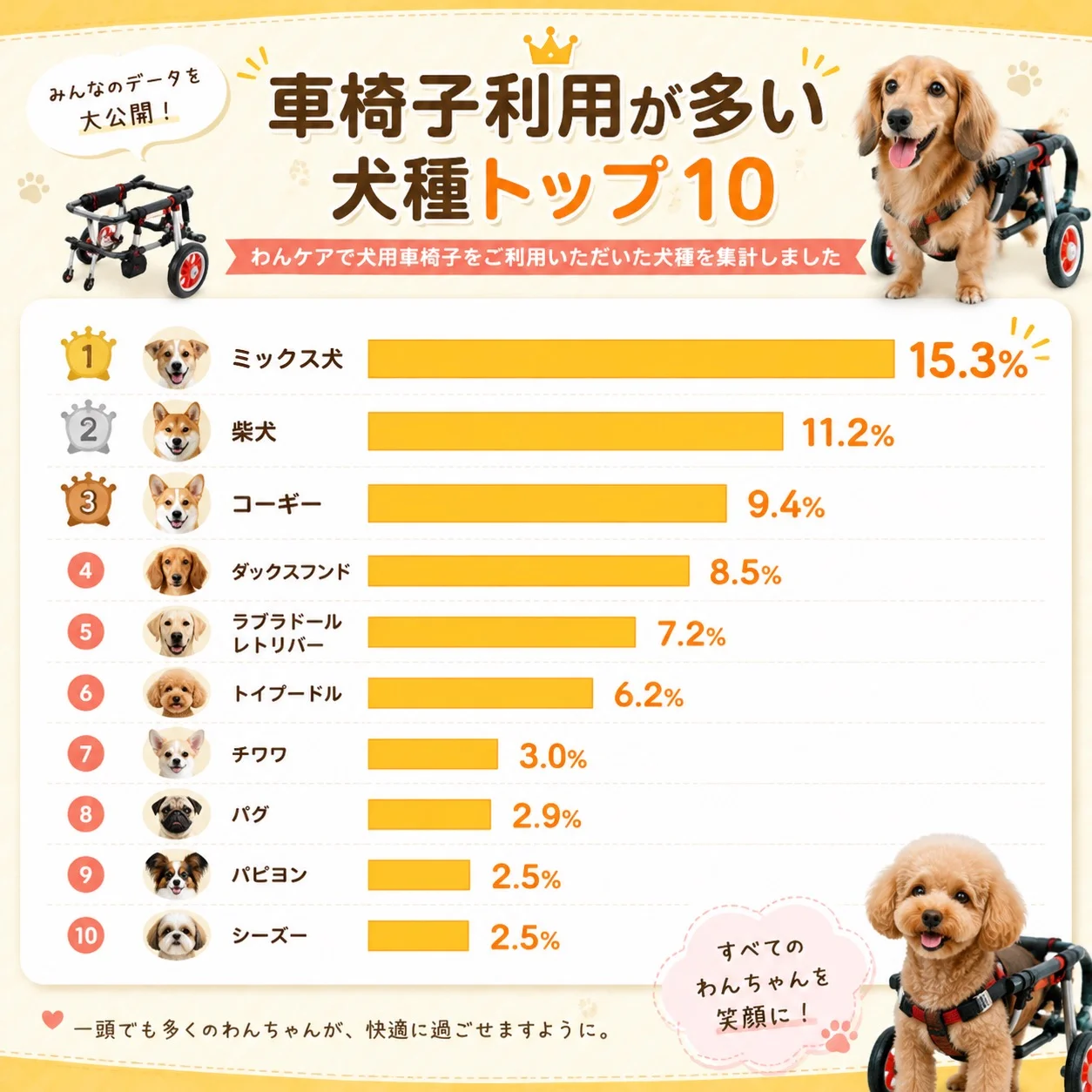犬用車椅子 利用の多い犬種 TOP10 円グラフ