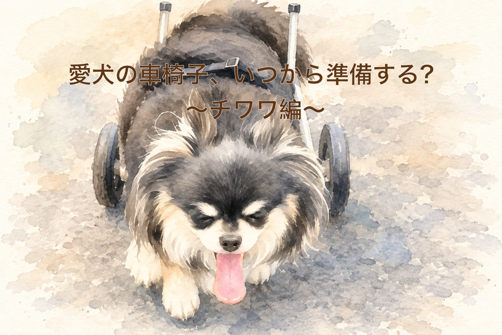チワワの車椅子ガイド