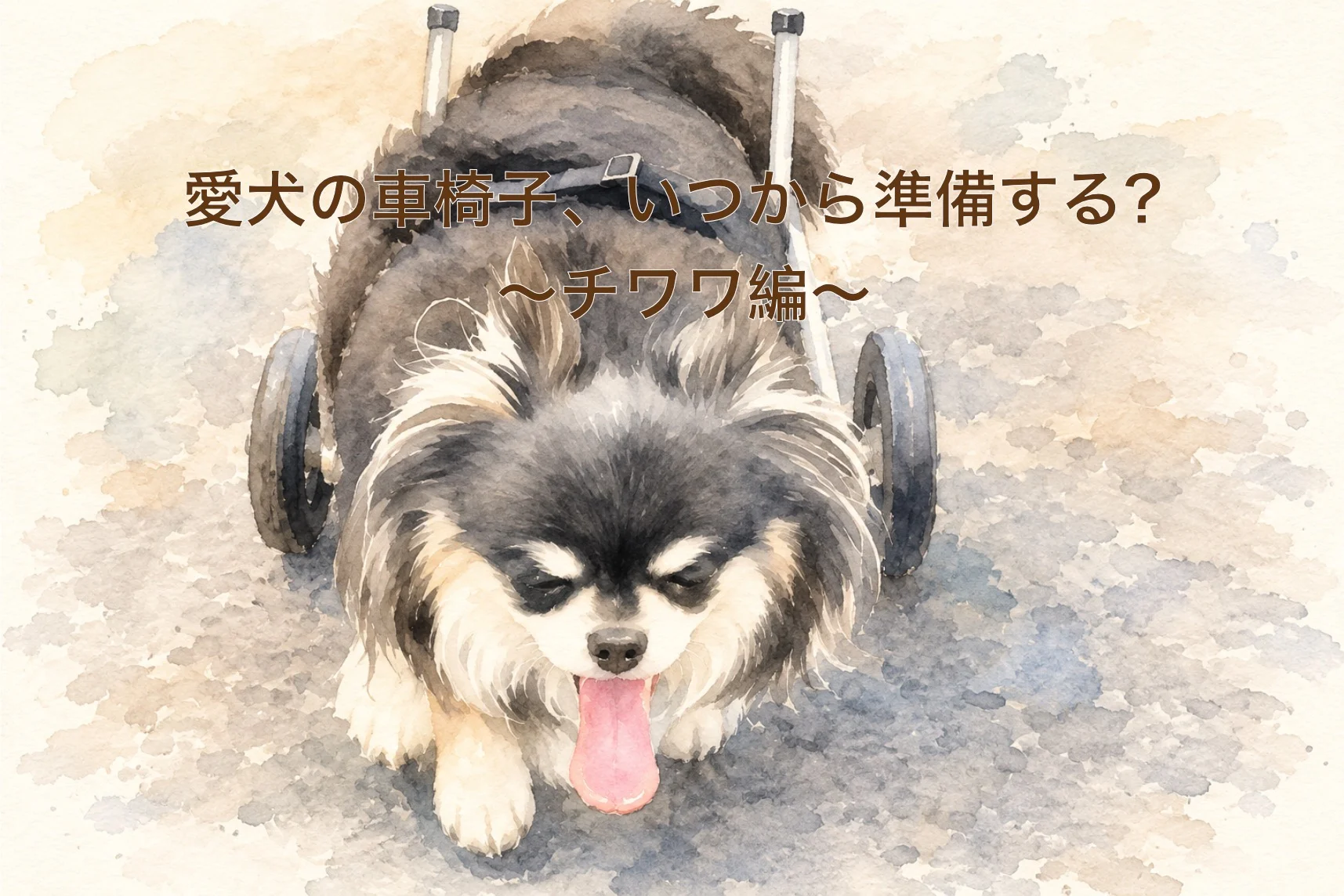 チワワの犬用車椅子ガイド