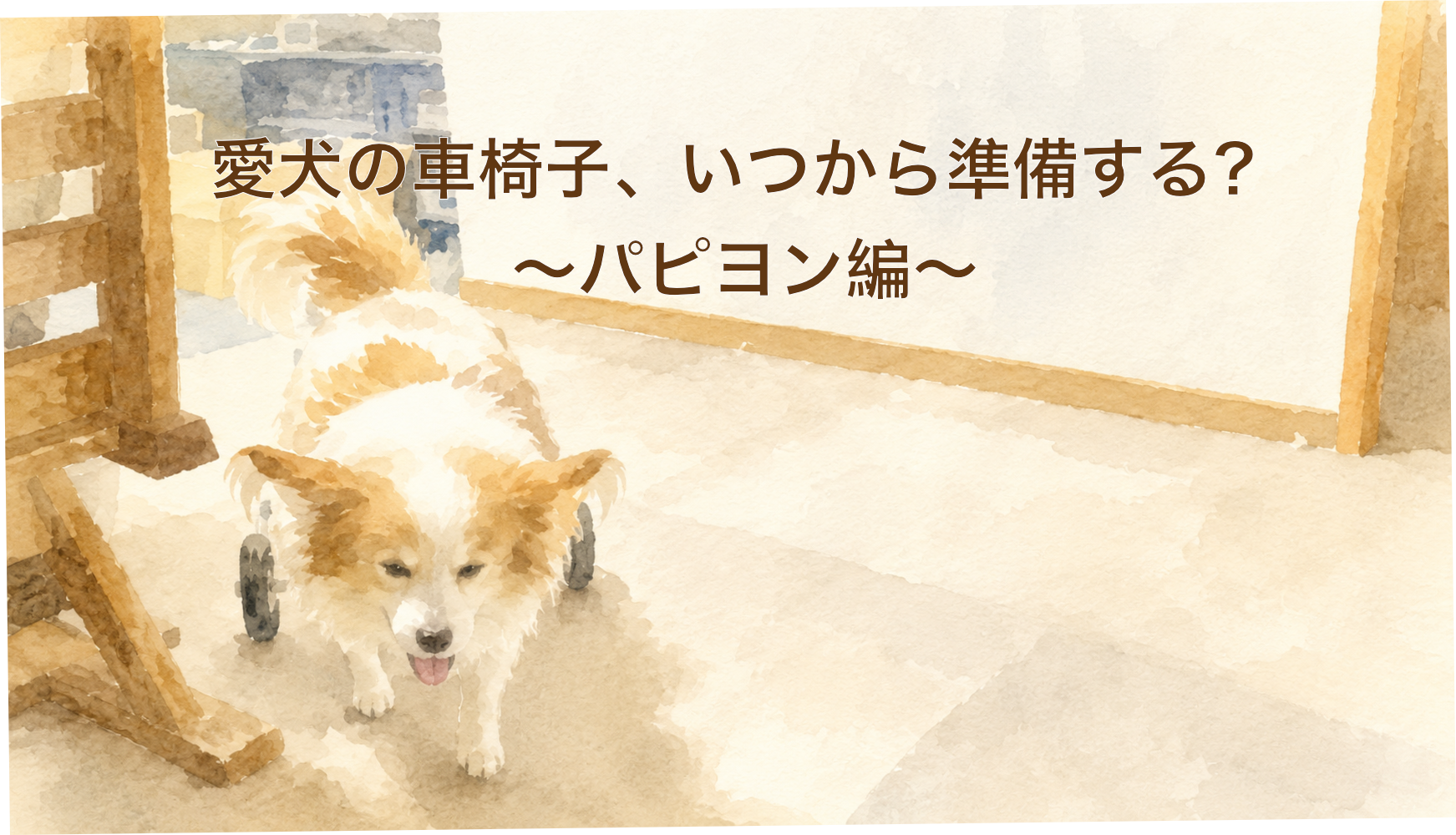 パピヨンの車椅子ガイド