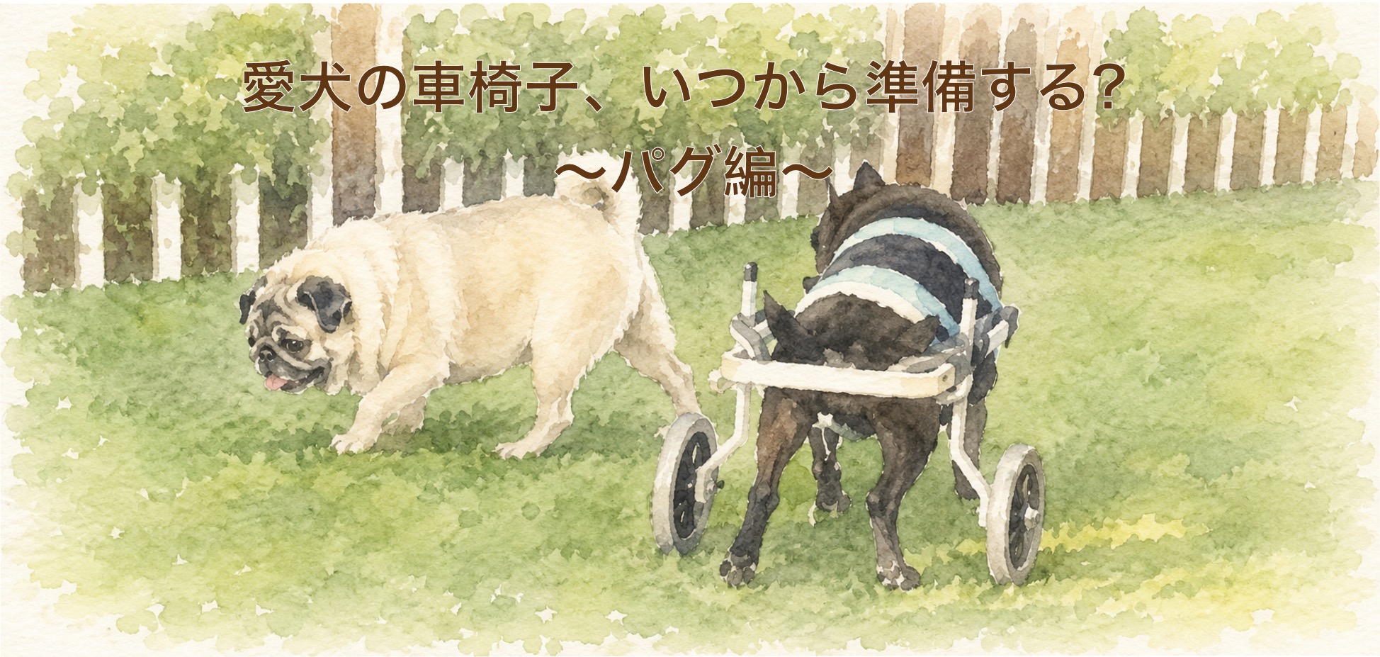 パグの犬用車椅子ガイド