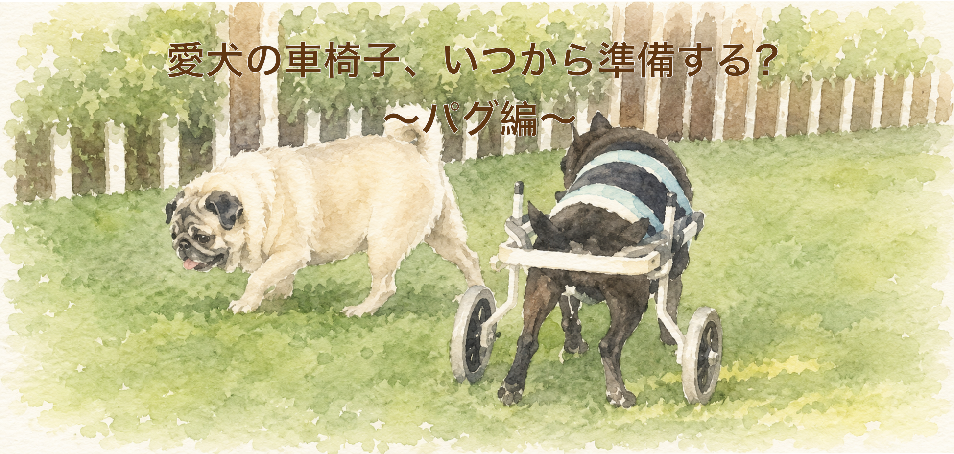 パグの車椅子ガイド