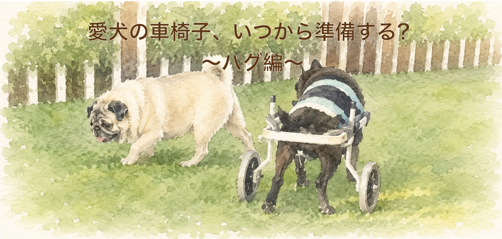 パグの犬用車椅子ガイド