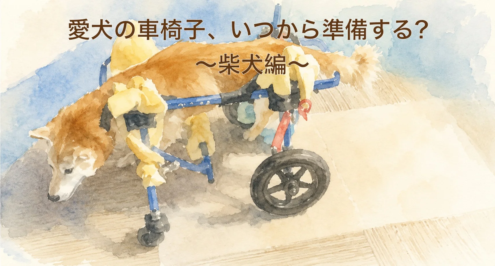 柴犬の犬用車椅子ガイド