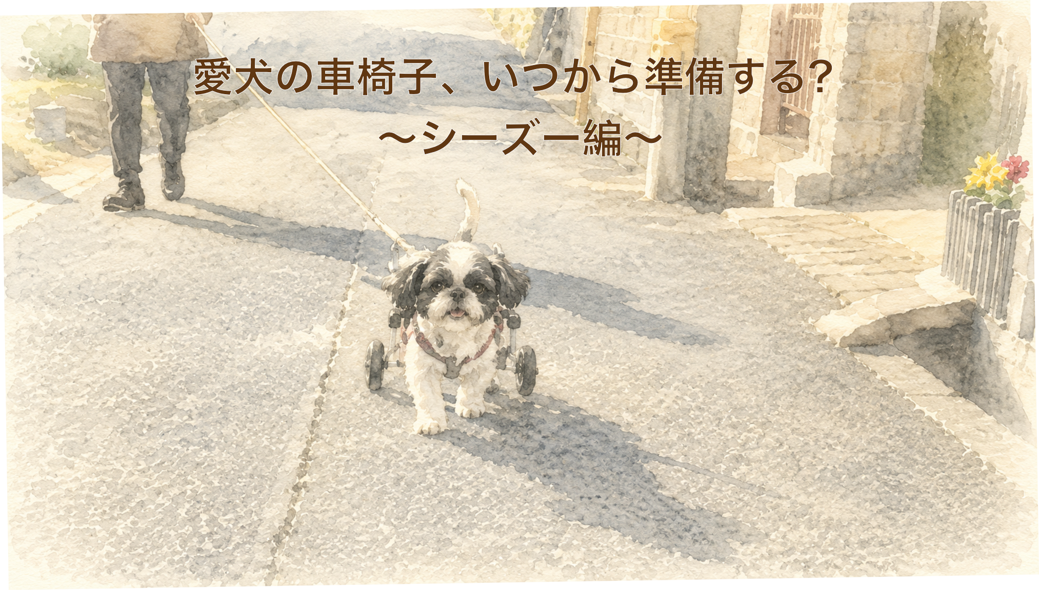 シーズーの車椅子ガイド
