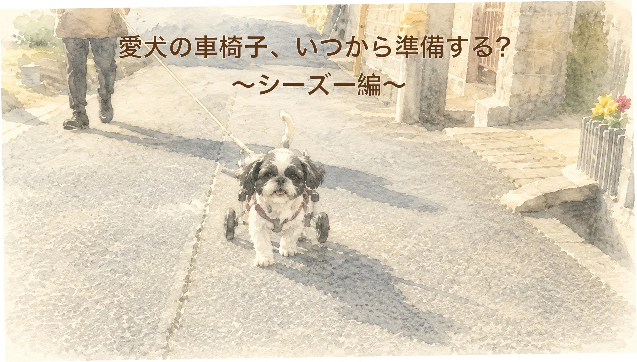 シーズーの犬用車椅子ガイド