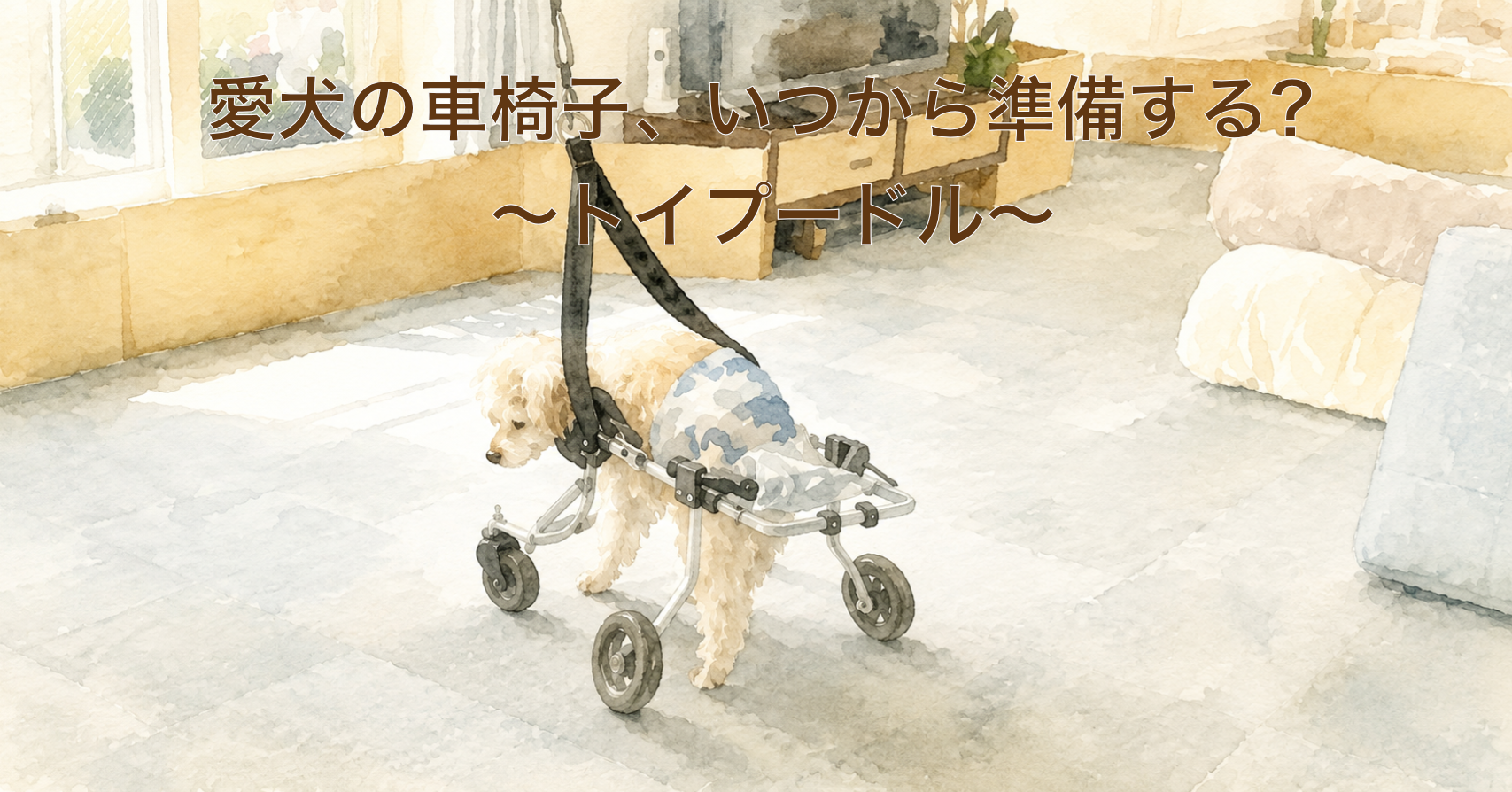トイプードルの車椅子ガイド