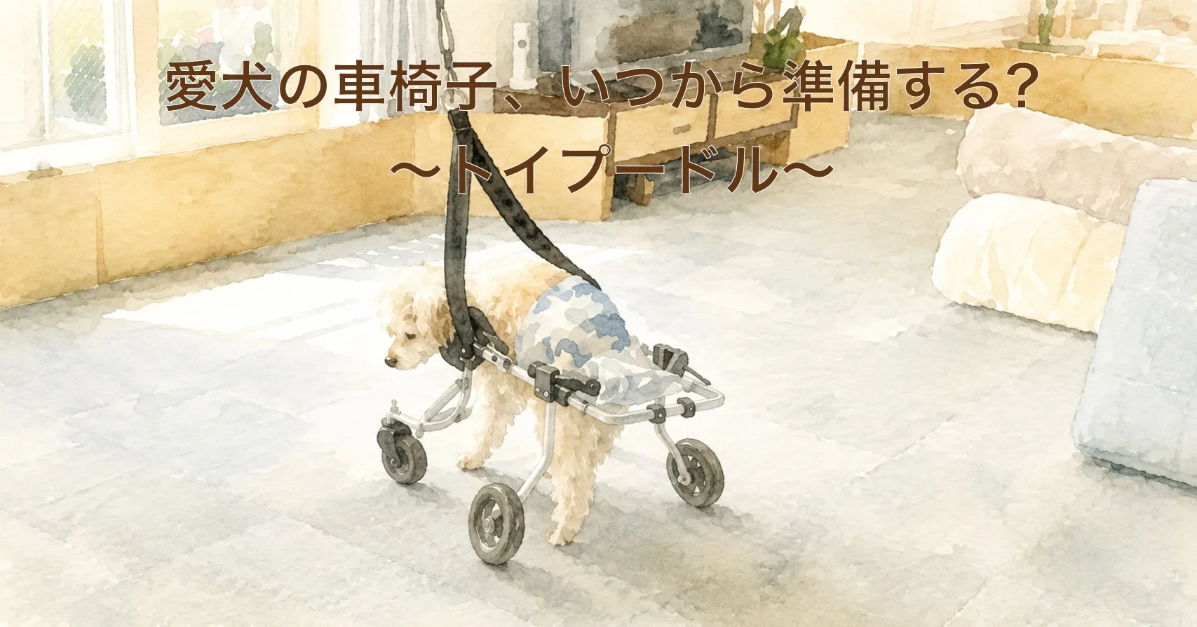 トイプードルの犬用車椅子ガイド