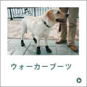 犬用保護ブーツ