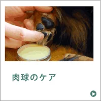肉球のケア