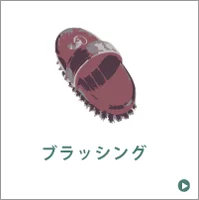 ブラッシング