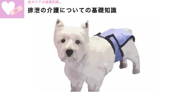 老犬介護の基礎知識　爪切り　トップ画像