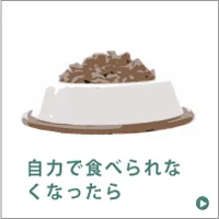 食事の介護
