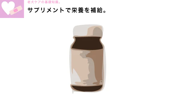 老犬介護の基礎知識　爪切り　トップ画像