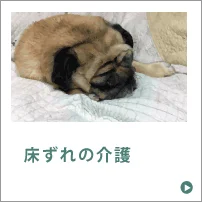 床ずれの介護