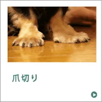 爪切り