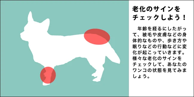 老犬介護の基礎知識 トップ画像