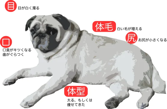 体に現れるサイン
