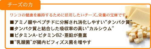 ドットわんチーズキューブ　犬 チーズ特徴