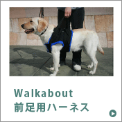 Walkabout前足用ハーネス