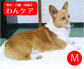 ホームナース