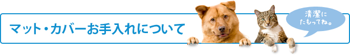 日常のお手入れ方法