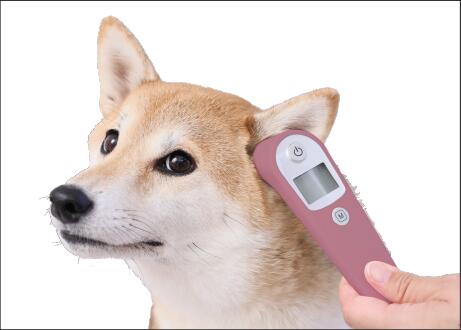 ミミテンプ 測定例の犬