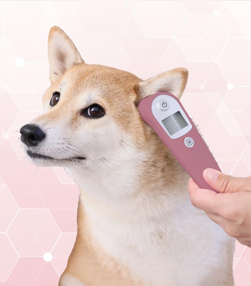 測定シーン