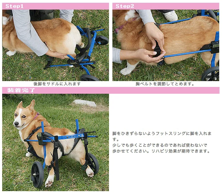簡単に装着できる高品質なK-9カート犬用車椅子
