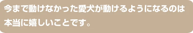 今まで動けなかった愛犬が動けるようになるのは本当に嬉しいことです