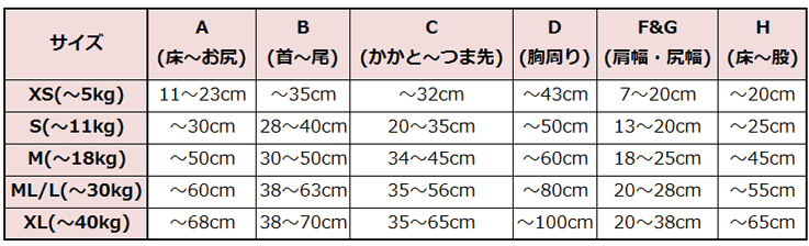 サイズ表