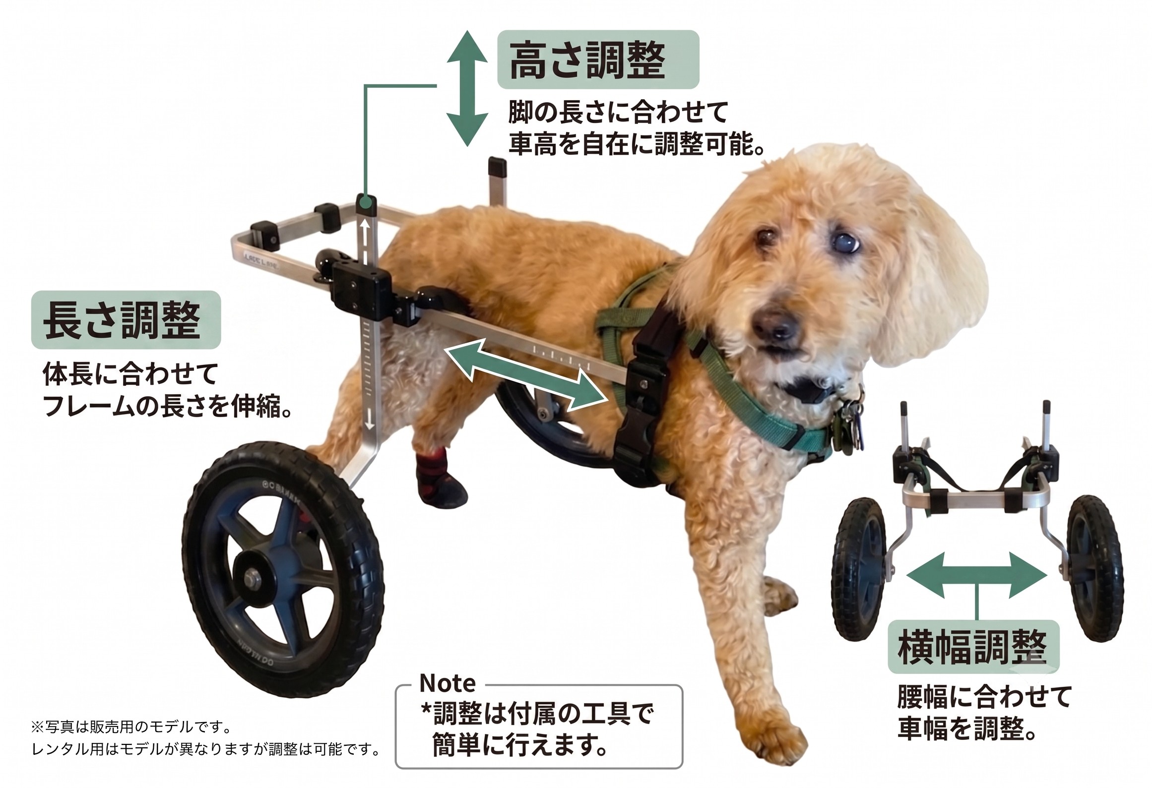 K-9カート犬用車椅子の調整機能（高さ・長さ・幅を自由調整）