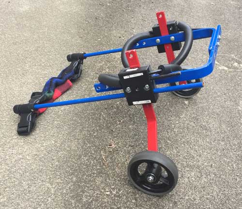 レンタル品のカラーパーツ例