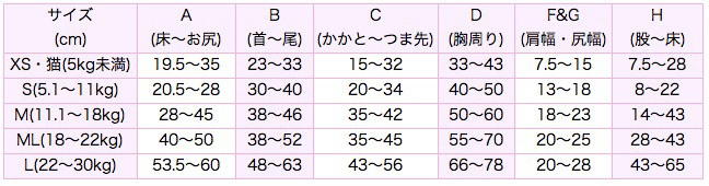 サイズ表