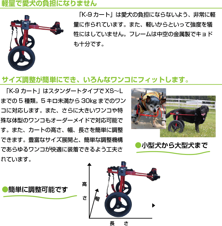 軽量で愛犬の負担になりません