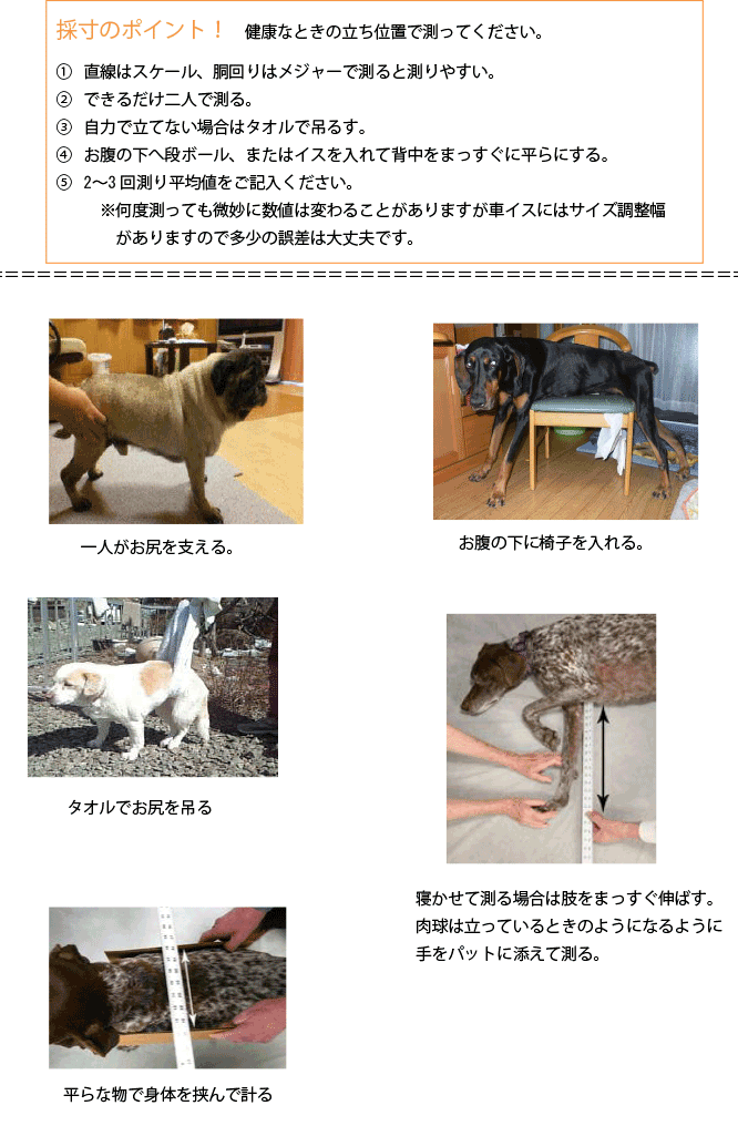 採寸の仕方（図解）