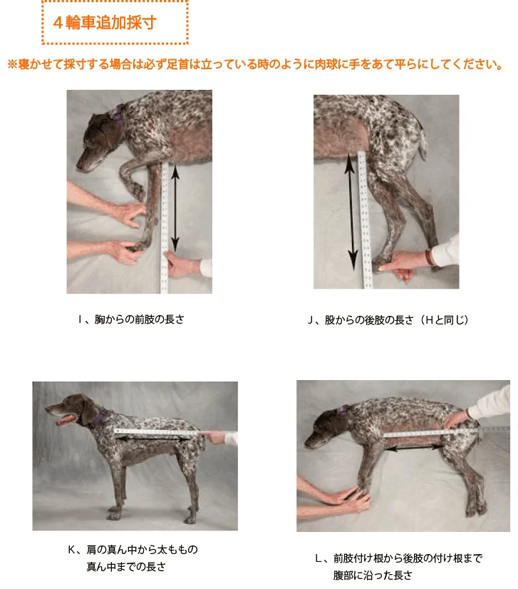 採寸ポイント図解2