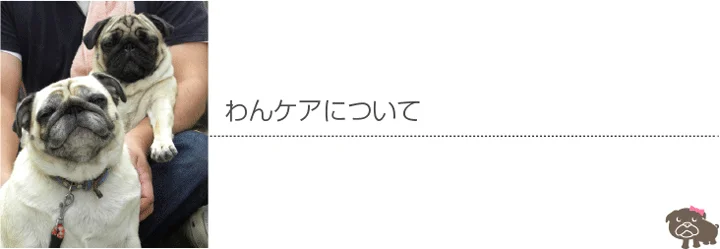 メインバナー