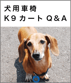 犬用車イスK9カートQ&A