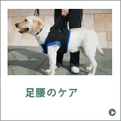 歩行の介護