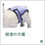 排泄の介護