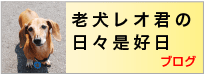 店長の部屋Plus+