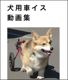 犬用車イスK9カート動画集