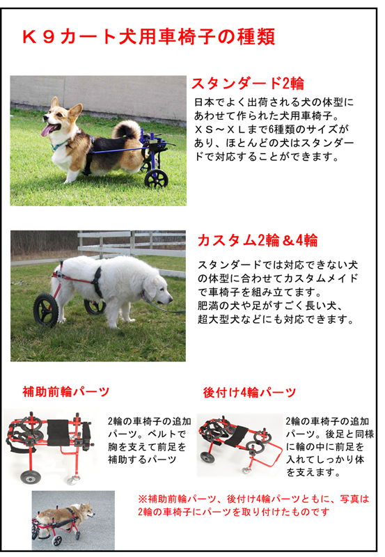 Ϸ������ʪ�졡�ְػ���