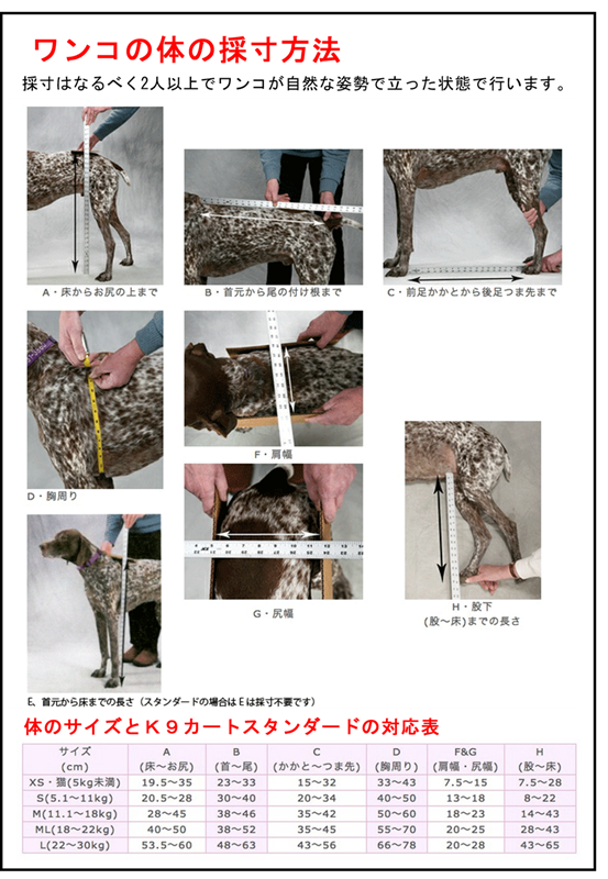 Ϸ������ʪ�졡�ְػ���