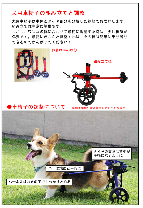 Ϸ������ʪ�졡�ְػ���