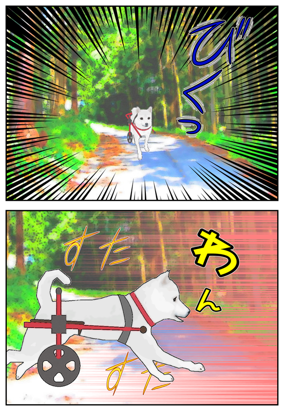 Ϸ������ʪ�졡�ְػ���