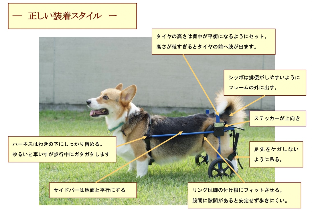 2輪車椅子の各調整ポイントを示した図